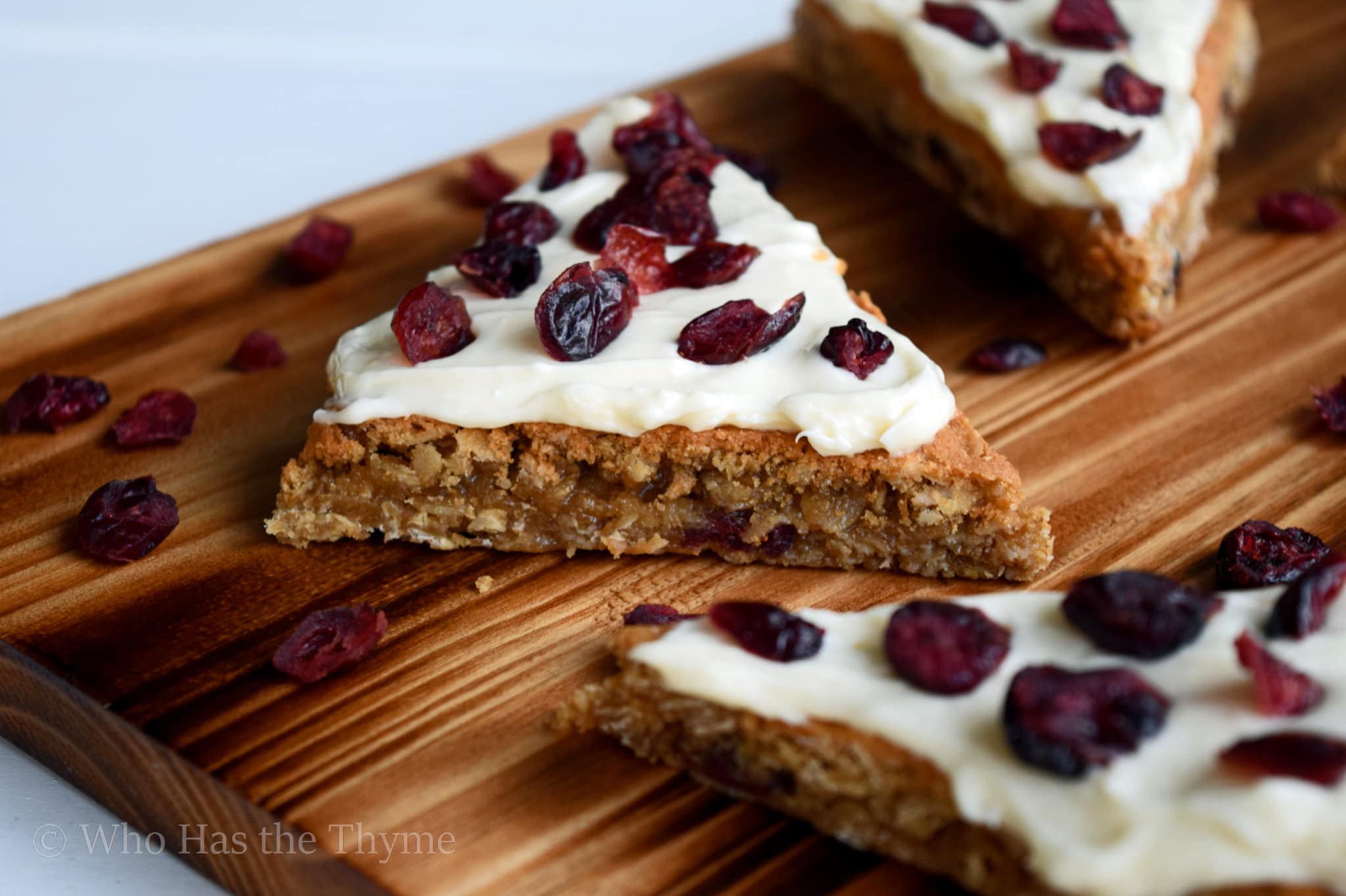 Gluten Free Dried Cranberry Bars with Icing