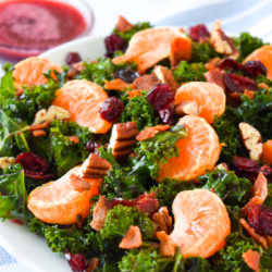 Kale salad with cranberry lime dressing