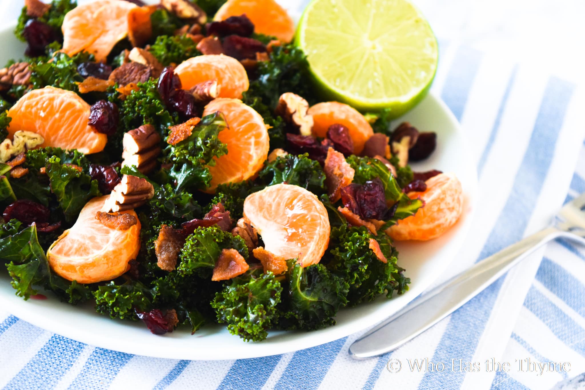 Healthy lunch kale salad with citrus