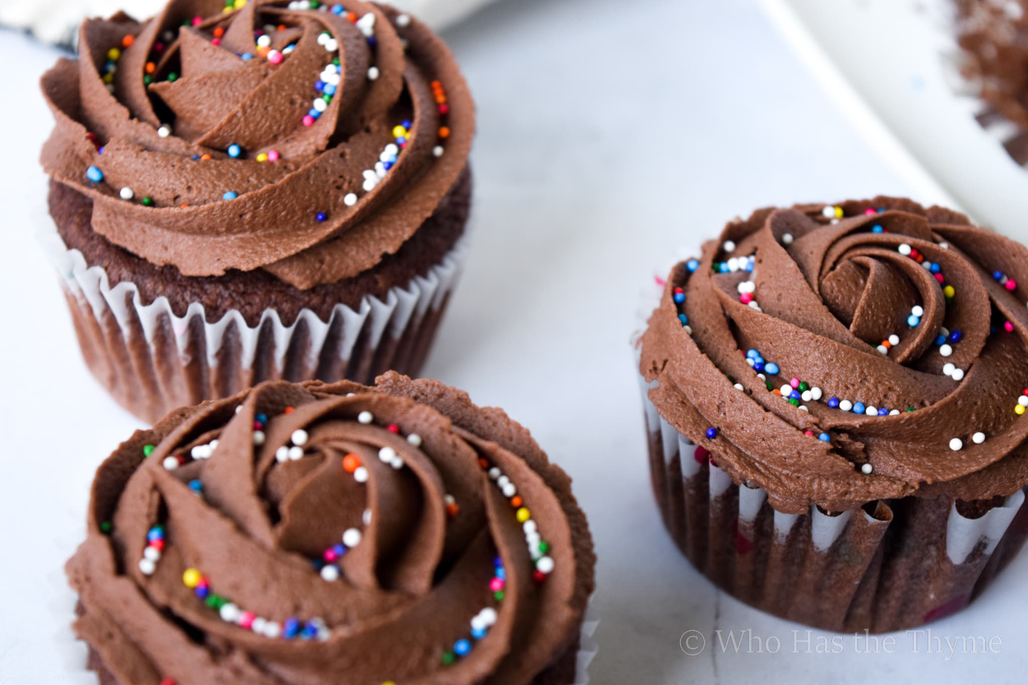 chocolate cupcakes with rainbow sprinkles