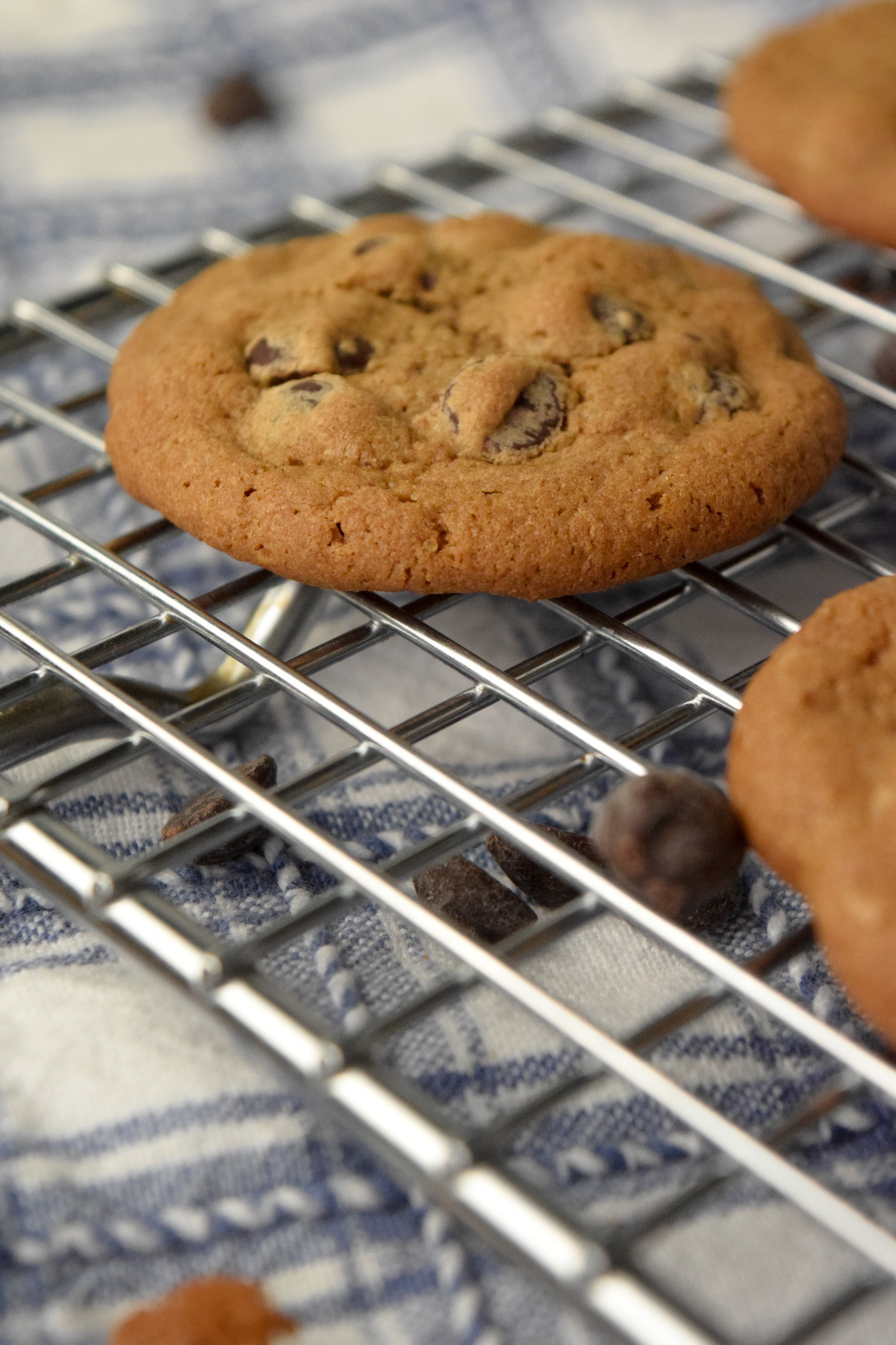Gluten Free Chocolate Chip Cookies with Coffee Extract on a cooling rack